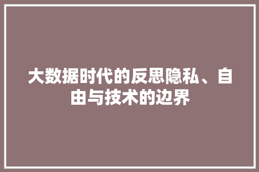 大数据时代的反思隐私、自由与技术的边界  第1张
