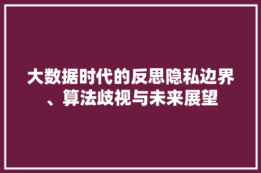 大数据时代的反思隐私边界、算法歧视与未来展望