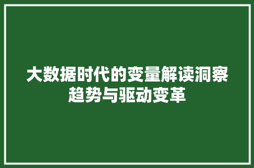 大数据时代的变量解读洞察趋势与驱动变革  第1张