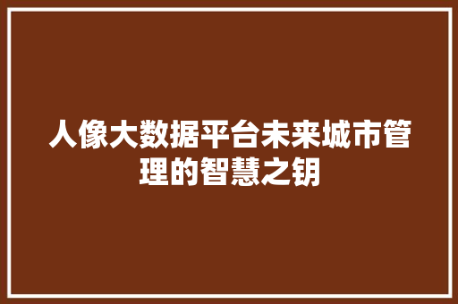 人像大数据平台未来城市管理的智慧之钥