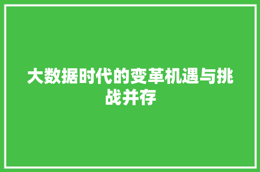 大数据时代的变革机遇与挑战并存  第1张