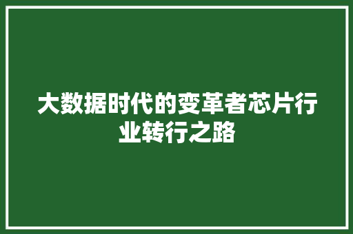 大数据时代的变革者芯片行业转行之路  第1张