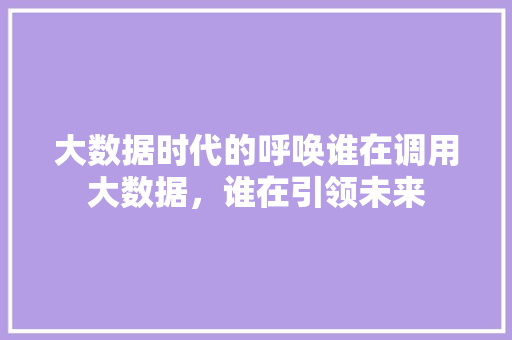 大数据时代的呼唤谁在调用大数据，谁在引领未来