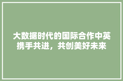 大数据时代的国际合作中英携手共进，共创美好未来