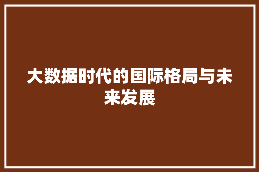 大数据时代的国际格局与未来发展