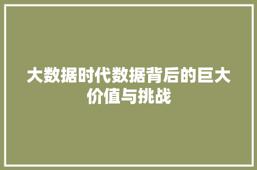 大数据时代数据背后的巨大价值与挑战