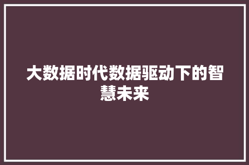 大数据时代数据驱动下的智慧未来