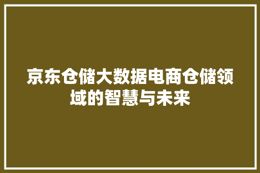 京东仓储大数据电商仓储领域的智慧与未来  第1张
