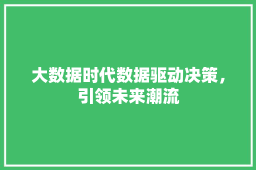 大数据时代数据驱动决策，引领未来潮流
