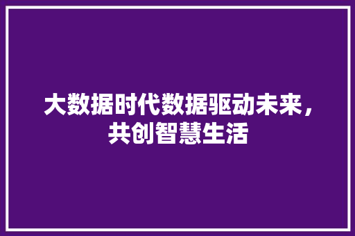 大数据时代数据驱动未来，共创智慧生活