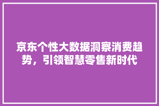 京东个性大数据洞察消费趋势，引领智慧零售新时代  第1张