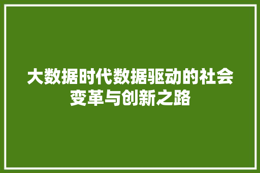 大数据时代数据驱动的社会变革与创新之路