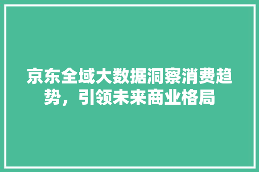 京东全域大数据洞察消费趋势，引领未来商业格局  第1张