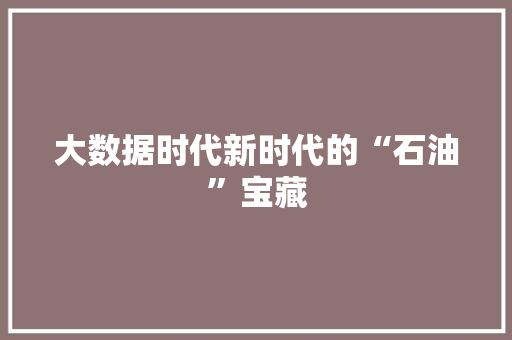 大数据时代新时代的“石油”宝藏