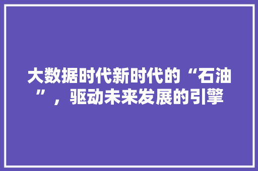 大数据时代新时代的“石油”，驱动未来发展的引擎  第1张