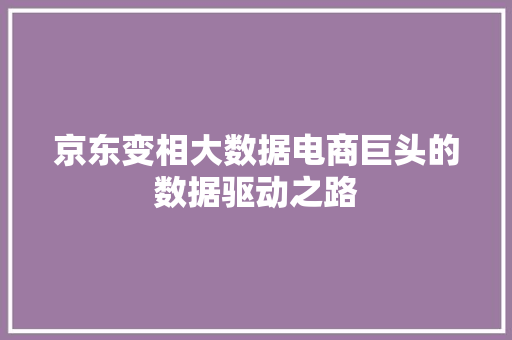 京东变相大数据电商巨头的数据驱动之路