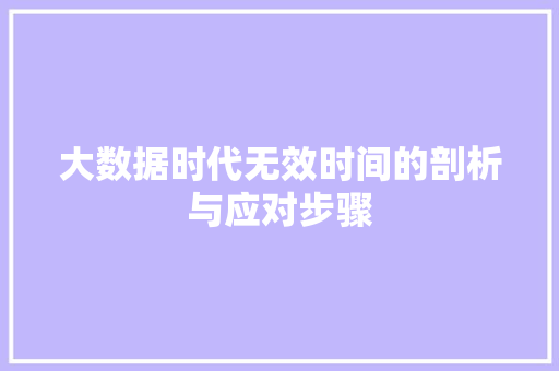 大数据时代无效时间的剖析与应对步骤