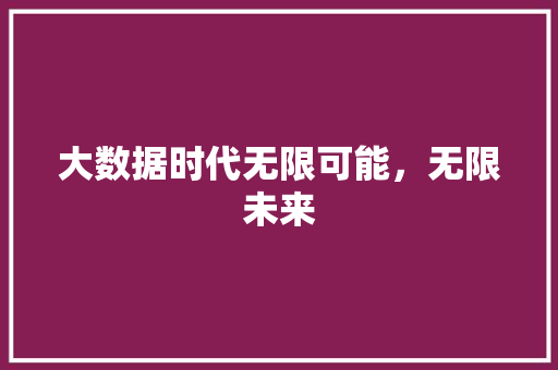 大数据时代无限可能，无限未来