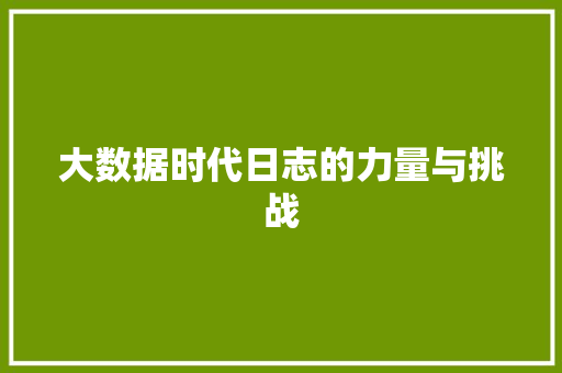 大数据时代日志的力量与挑战