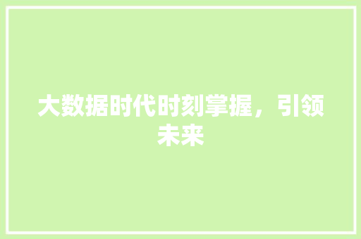 大数据时代时刻掌握，引领未来
