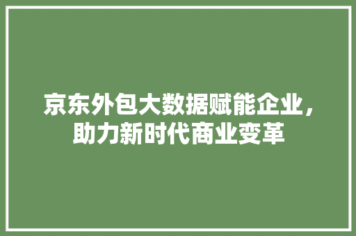 京东外包大数据赋能企业，助力新时代商业变革
