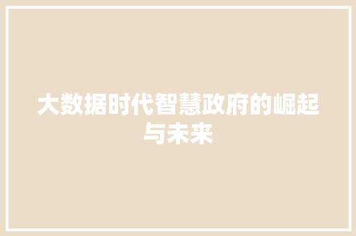 大数据时代智慧政府的崛起与未来