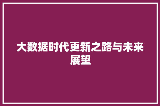 大数据时代更新之路与未来展望