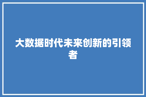 大数据时代未来创新的引领者