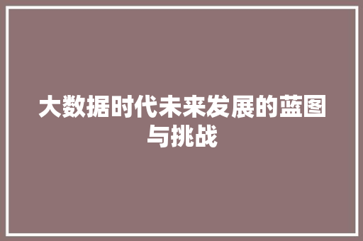 大数据时代未来发展的蓝图与挑战
