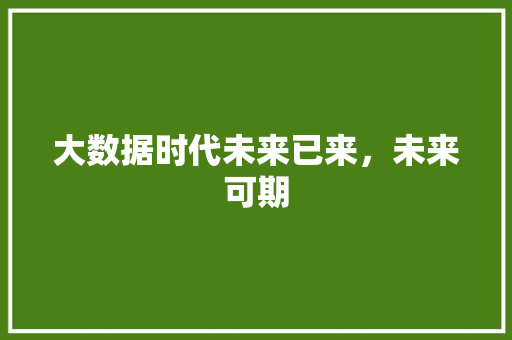 大数据时代未来已来，未来可期  第1张