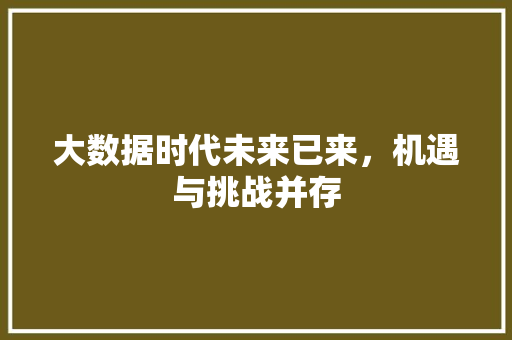大数据时代未来已来，机遇与挑战并存  第1张