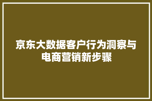 京东大数据客户行为洞察与电商营销新步骤  第1张