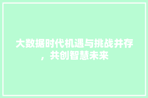 大数据时代机遇与挑战并存，共创智慧未来