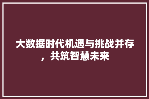 大数据时代机遇与挑战并存，共筑智慧未来  第1张