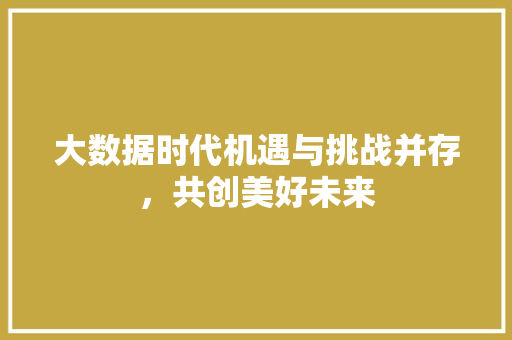 大数据时代机遇与挑战并存，共创美好未来  第1张
