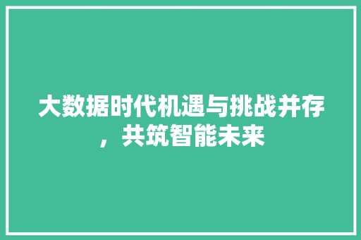 大数据时代机遇与挑战并存，共筑智能未来