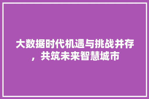 大数据时代机遇与挑战并存，共筑未来智慧城市  第1张
