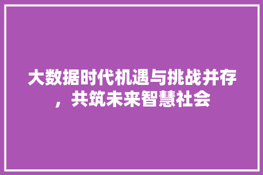 大数据时代机遇与挑战并存，共筑未来智慧社会