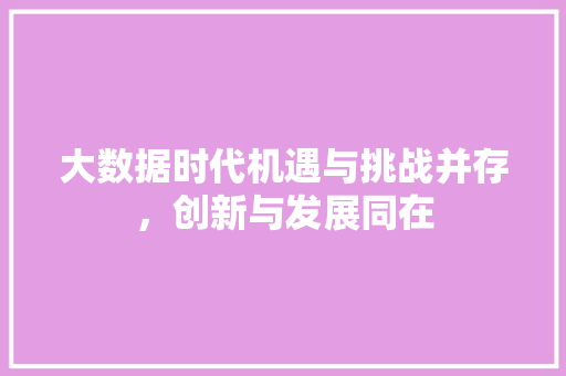 大数据时代机遇与挑战并存，创新与发展同在  第1张
