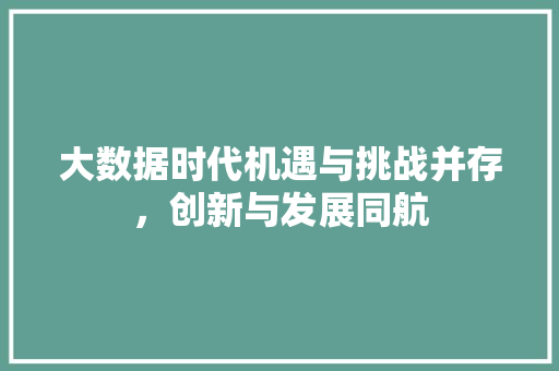 大数据时代机遇与挑战并存，创新与发展同航