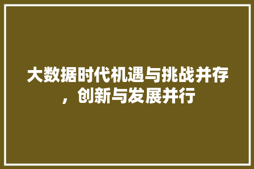 大数据时代机遇与挑战并存，创新与发展并行