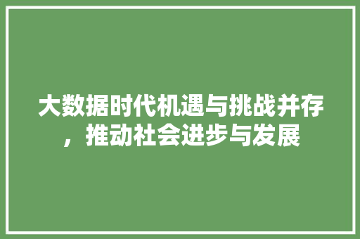 大数据时代机遇与挑战并存，推动社会进步与发展