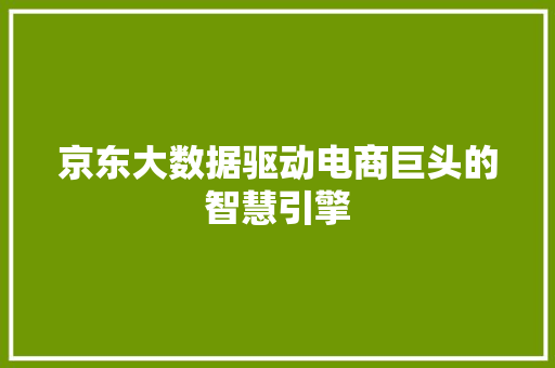 京东大数据驱动电商巨头的智慧引擎