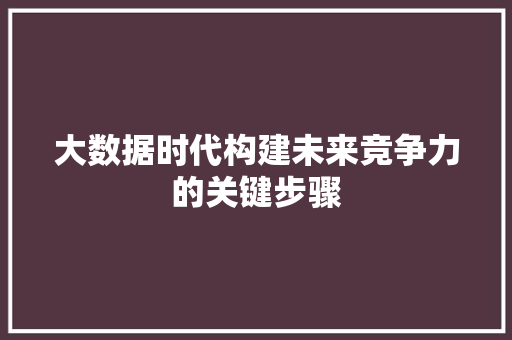 大数据时代构建未来竞争力的关键步骤  第1张
