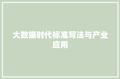 大数据时代标准写法与产业应用