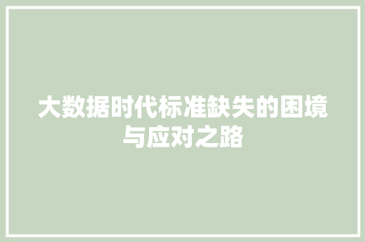 大数据时代标准缺失的困境与应对之路  第1张
