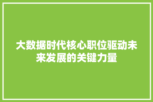 大数据时代核心职位驱动未来发展的关键力量  第1张