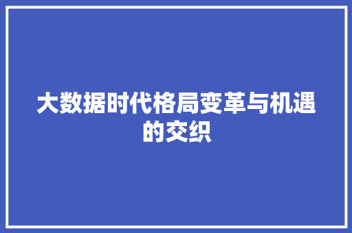 大数据时代格局变革与机遇的交织