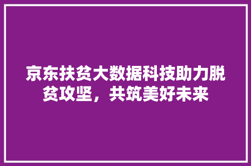 京东扶贫大数据科技助力脱贫攻坚，共筑美好未来  第1张