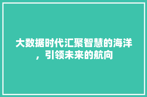 大数据时代汇聚智慧的海洋，引领未来的航向  第1张